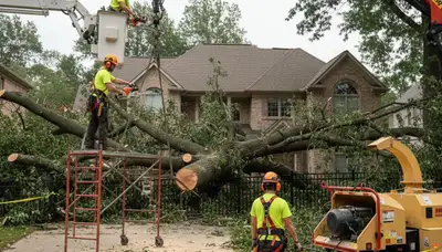 Columbia, MO arborists removing storm-damaged tree after emergency call