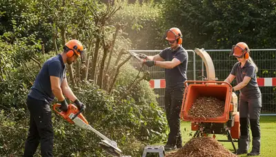 Columbia, MO arborist removing overgrown shrubs for safe, efficient tree service
