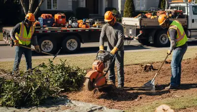 Arbor Tree Care removing overgrown shrubs in Columbia, MO for safe, efficient shrub removal services